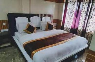 Hotel Hotel Diamond, Meerut
