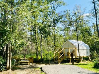 Luxury tent Tentrr - Louisiana Tickfaw State Park - Woodland C - Single Camp