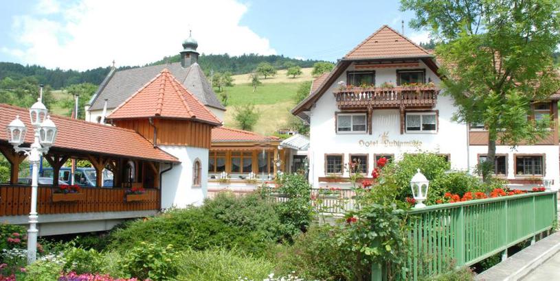 Отель Ludinmühle