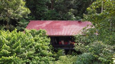 Lodge Yatama Rainforest Ecolodge