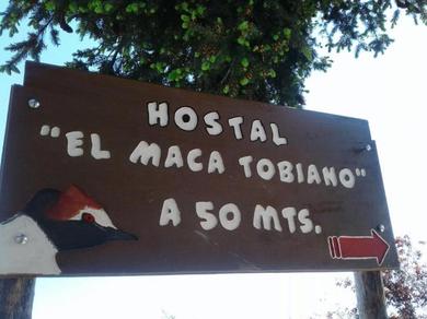 Хостел Hostel El Maca Tobiano
