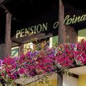 Guest house Café Pension Alpina
