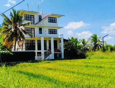Отель Freedom of Green Rice View