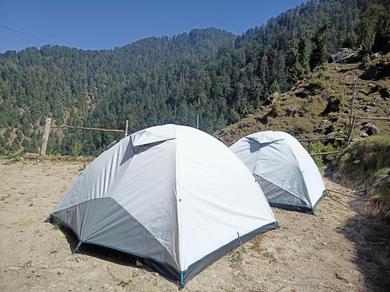DeepForest camps with lake view