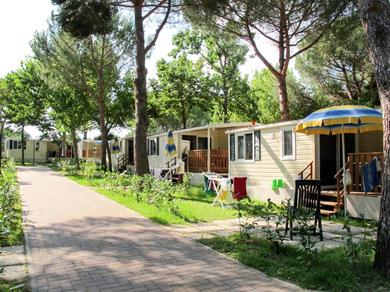 Holiday home Locazione Turistica Camping Badiaccia-1