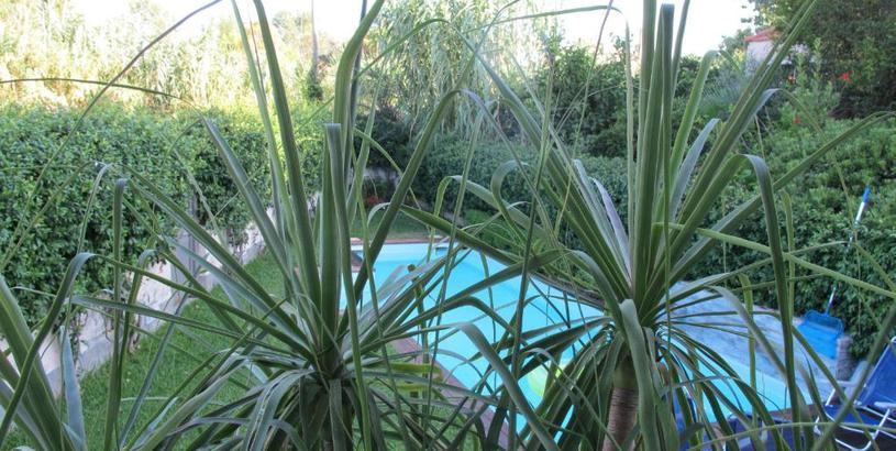 Вилла Villa Le Lanterne Pool & Relax
