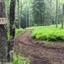 Люкс-шатер Tentrr Signature Site-Go Your Own Way at Tentrr Catskill Retreat-Single Camp #3