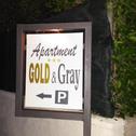 Apartments Apartment Gold & Gray