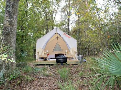 Люкс-шатер Tentrr State Park Site - Louisiana Fontainebleau State Park - Pond View D - Single Camp