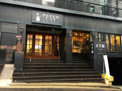 Отель Petercat Hotel Shinchon