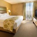 Отель Drury Inn & Suites Paducah