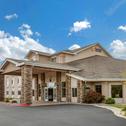 Hotel Comfort Inn & Suites Dimondale