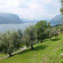 Дом отдыха App. Monte Isola vista Panoramica