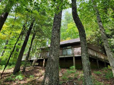 Holiday home Tall Pines near Coopers Creek/fishing, Hiking