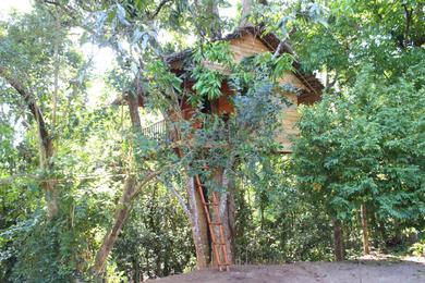 Chalet Tree House-Midigama