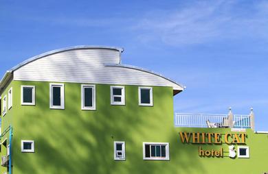 Отель White Cat Hotel