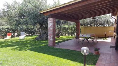 Holiday home House surrounded by olive trees