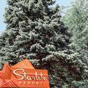 Мотель Starlite Resort