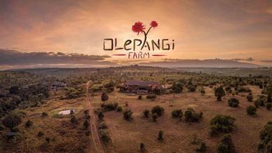 Lodge Olepangi Farm