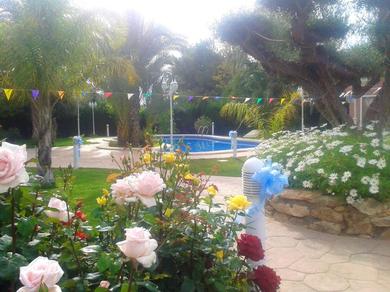 Apartments 2 bedrooms appartement with shared pool furnished terrace and wifi at Elche 6 km away from the beach