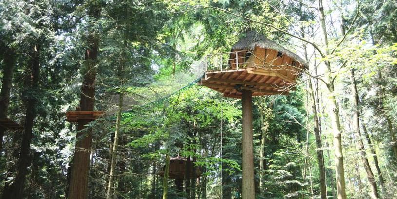 Guest house Insolite dans les arbres Les Ormes, Epiniac