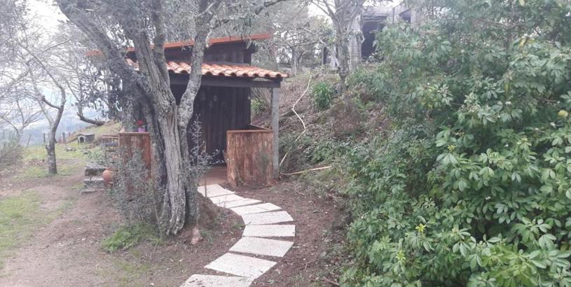 Chalet Cabana da Oliveira