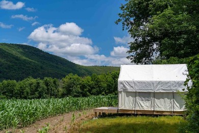 Luxury tent Tentrr State Park Site - Taconic State Park High Valley Rd Site C