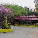 Guest house Playa Samara Hostel