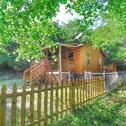 Holiday home *New Cabin 5min From Parkway*Deer Hollow