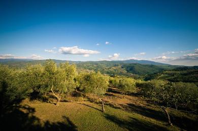 Guest house Podere Belvedere Tuscany