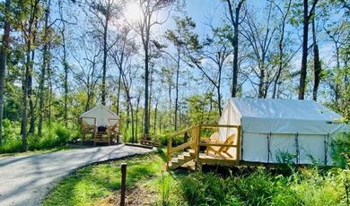 Люкс-шатер Tentrr - Louisiana Tickfaw State Park - Woodland D - Double Camp