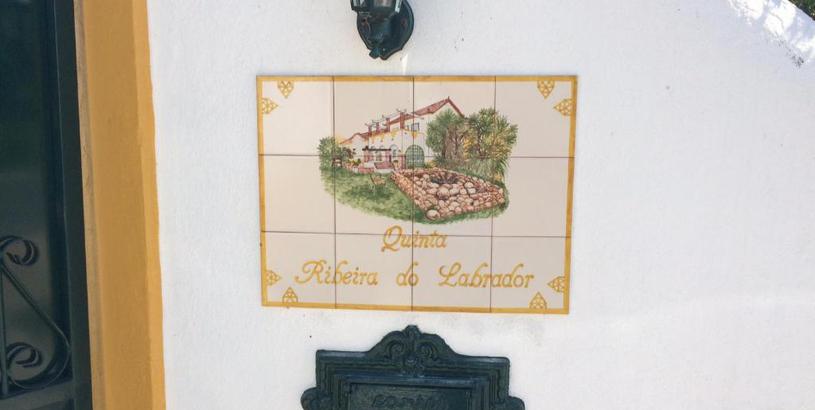 Гостевой дом Quinta Ribeira do Labrador - Lisbon West Wine Route