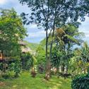 Гостевой дом Banyan Bay Villas