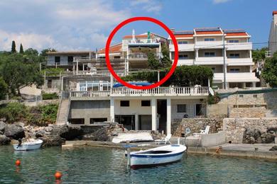Guest house Apartments by the sea Molunat, Dubrovnik - 2137