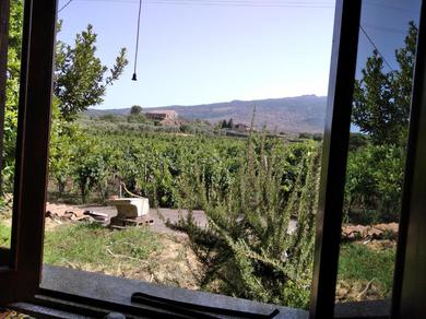 Holiday home Mungibeddu casa vacanza tra le vigne dell'Etna