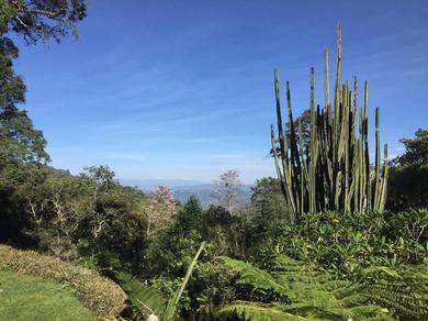 Descanso infinito en un jardín tropical muy cerca de Bogotá