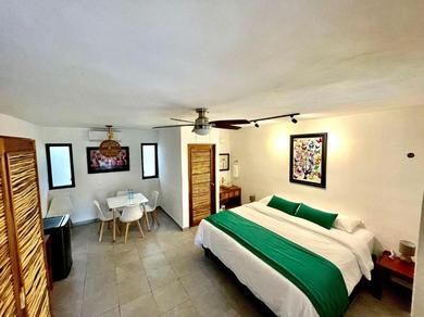Excellent & Special Hotel Nice Location Decked Area, Swimming Pool & Tequila Factory