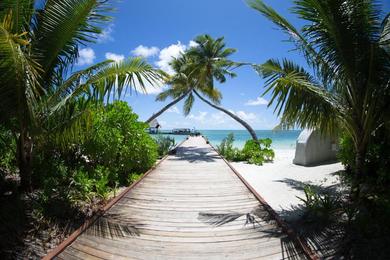 Курорт Canareef Resort Maldives