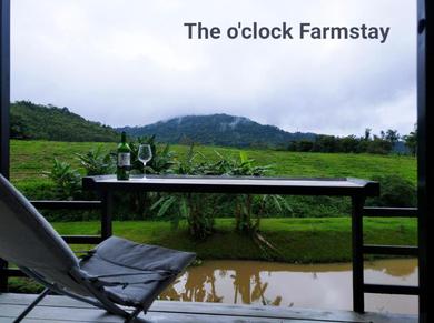 Кемпинг The O'clock Farmstay Khaokor