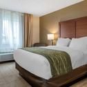 Hotel Comfort Inn & Suites Dimondale