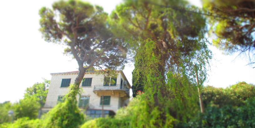 Апартаменты Apartment Dubrovnik Surprise