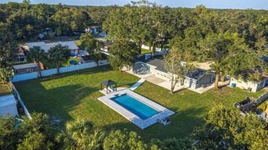 Hotel Exclusive Pool Villa near Busch gardens, USF, 20+ Guests
