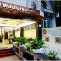 Отель Wild Lotus Hotel - Xuan Dieu