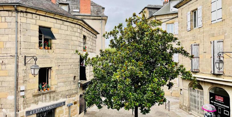 Апартаменты Les 4 saisons - Centre historique Brive