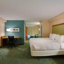 Hotel SpringHill Suites by Marriott Orlando Lake Buena Vista South