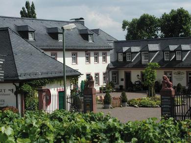 Гостевой дом Residenz Weingut Schloss Reinhartshausen