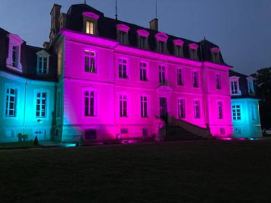 Гостевой дом Château de la Bouchatte chambre les Roses
