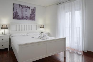 Apartments Zunbilo - Basque Stay