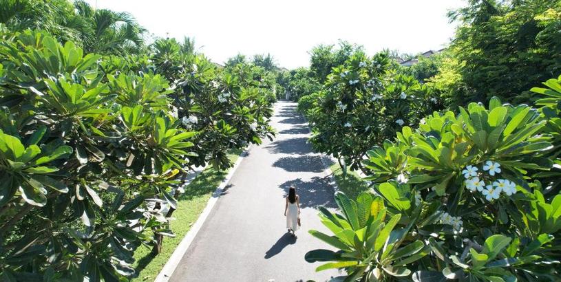Курорт Premier Village Danang Resort Managed By Accor