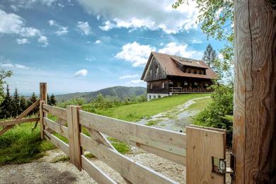 Шале Gamsberg Hütte